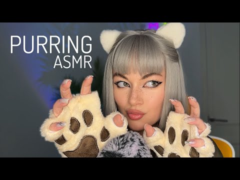 ASMR PURRING mixed with BEST triggers for fall asleep
