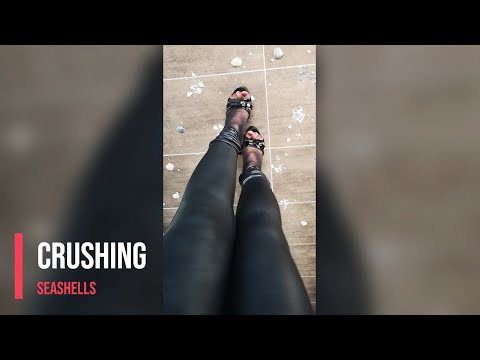 Stepping on seashells in black high heels - POV #crush #asmr #shoes #asmrsounds