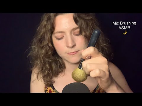 ASMR Mic Brushing | Camera Brushing | No Talking