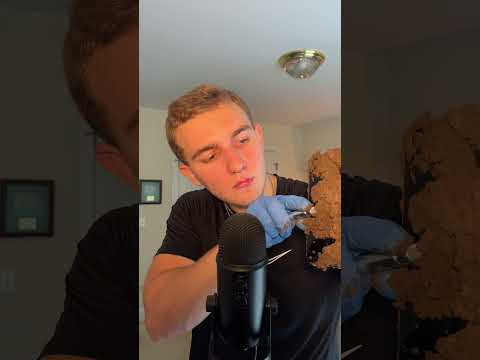 Asmr cleaning iPhone