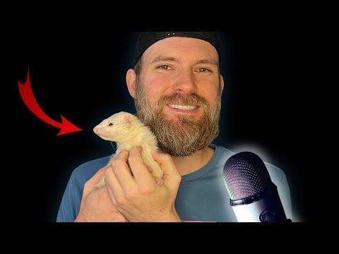 ASMR Whispered Ramble - Male Voice - Meet My Pets!