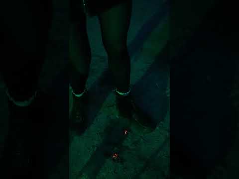 Сниппет пошел не по плану 😂