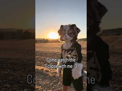 Now my eyes hurt :( #furry #fursuit #fursuitfriday #eclipse