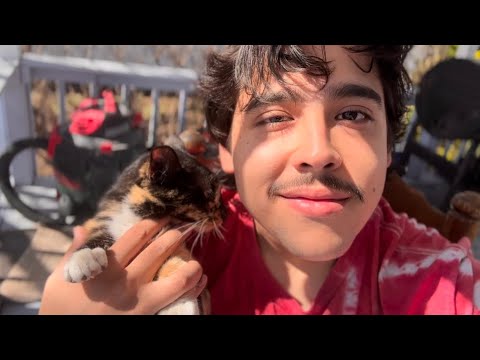 I STOLE THIS CAT