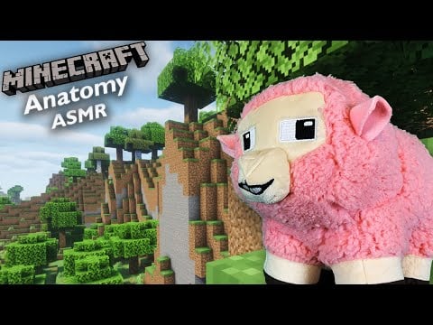 [ASMR] The Anatomy of a Minecraft Sheep 🐑 | Nature ASMR, Layered Sounds