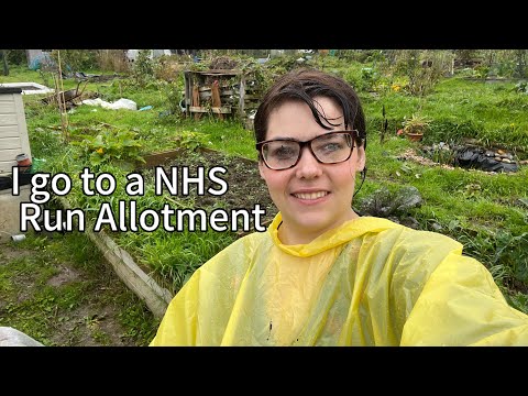 What I get to when I go to the Allotment (rehab pathway)