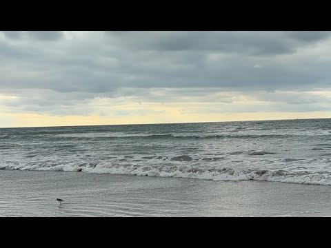 🚨LIVE NOW Relax at the Jersey Shore with Jersey