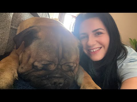 Hang Out With Me & Titan 🐾💙 (Smoking & Rambling)
