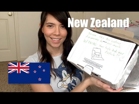 ASMR Kiwi Snack Box ^_^