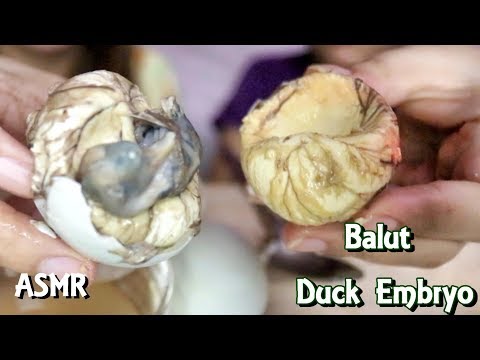 ASMR Balut Duck Embryo Exotic Food Eating Sounds