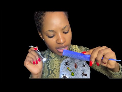 ASMR- Bugs Search (hair combing and scratching) 🪮