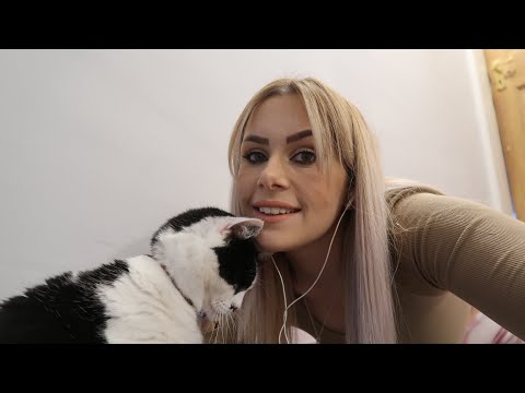 ASMR cat purring & fur scratching