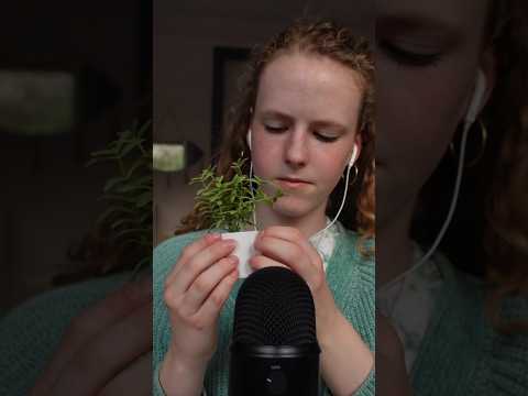 ASMR ☆ 20 TRIGGERS IN 10 MINUTES #asmr #shorts #relaxing