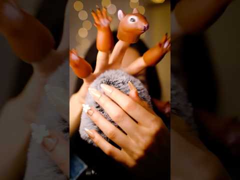 The 🐿️ took over my mic!! #visualtingle #asmrvideos #triggersforsleep #asmrtriggers #asmrsleep
