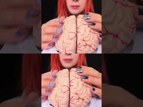 ASMR 🧠 BRAIN TINGLES... Literally! Sleep & Relaxation #asmr #shorts