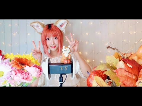 ASMR 哄睡 中文Q&A + 我喜欢的声音 更多了解小暖吧！