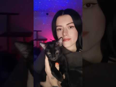 ASMR ✨ // kitty purring