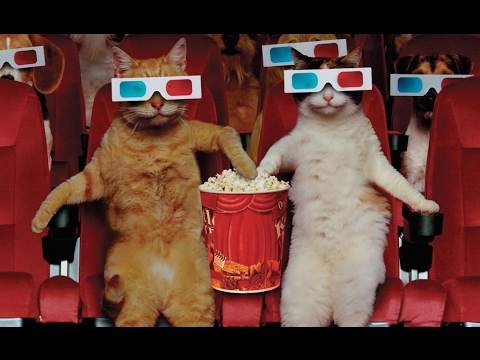 Anecdotes sur le cinéma - ASMR Français