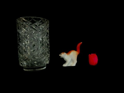 ASMR vase, cat and rose.