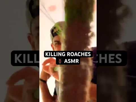 KILLING ROACHES 🪳 ASMR #asmr #asmrtingles #asmrcommunity #fast #asmrmouthsounds #roaches