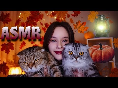 ASMR Забота о тебе Массаж. Котики Мёд Care Mouth sounds Pumpkin Honey Cats Visual Triggers Massage