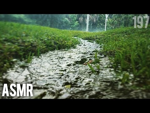 ASMR | Rainy Day Routine (Breakfast Inside and Rain Outside)