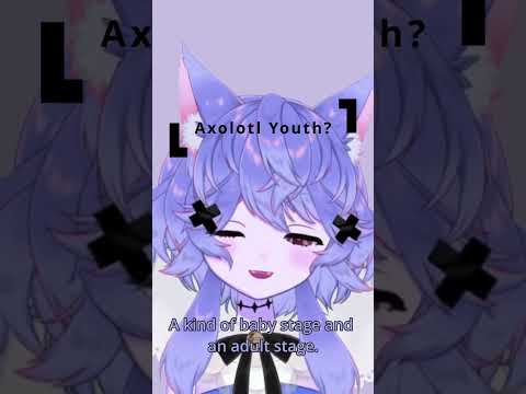 Axolotls can become salamanders?