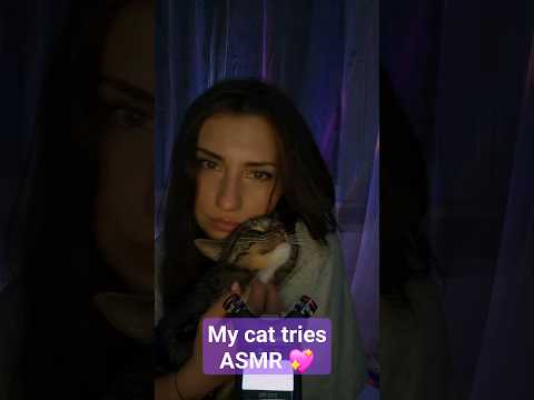 mój kot próbuje ASMR 🐈‍⬛😎