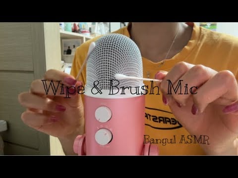 [ASMR] (No Talking) Wipe & Brush my Mic | 마이크를 청소합시다!