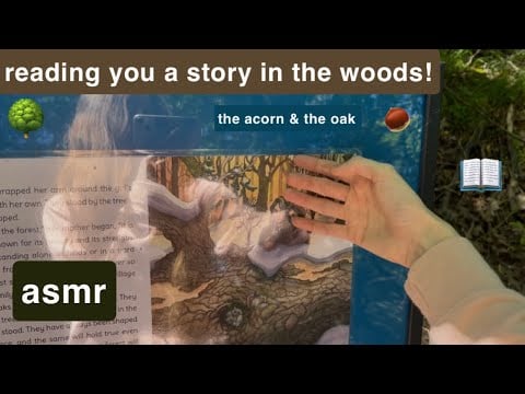 asmr reading in the woods! 🍃 lofi nature & tapping sounds 📚