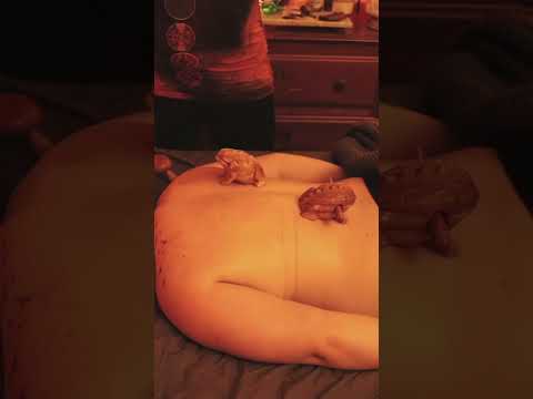 ASMR papa and mama frogs #asmrnature #asmrsleep #asmrvideos #asmr  #asmroleplay #asmrrealperson