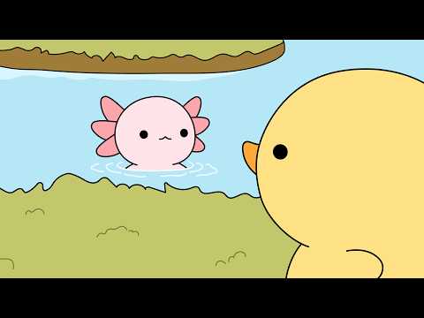 Meeting axolotl again! | ASMR animation