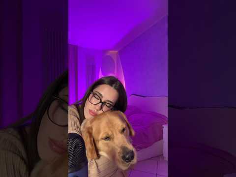 Fuji aveva sicuramente altre intenzioni #asmr #relax #goldenretriever