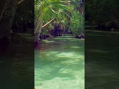 Emerald cut kayaking asmr 🏝️
