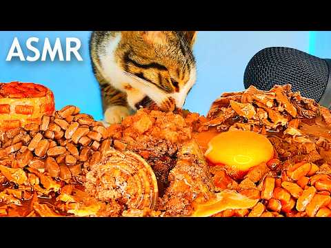 ASMR Mukbang | Cat Eating Wet Food Feast 🐱