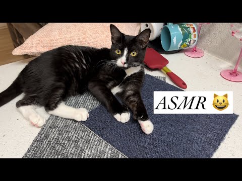 ASMR 💕 Fabric/Carpet Scratching & Brushing (no talking, super tingly 😴)