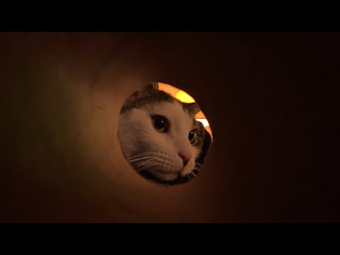 ASMR There’s Something In Your Eye Roleplay (Full Version)