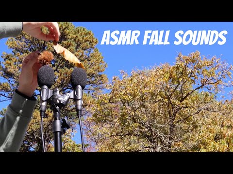 Intense Fall Whispering and Nature Sounds ASMR