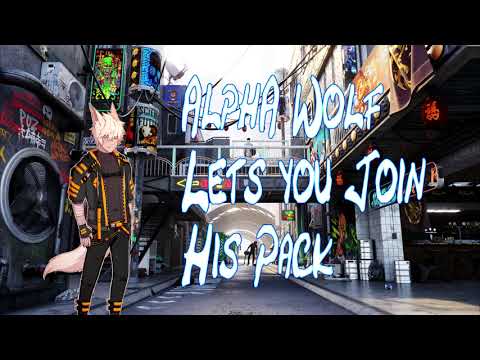 Alpha Wolf Lets You Join His Pack RP (Sniffing/Growling/Licking) 1.4k sub special
