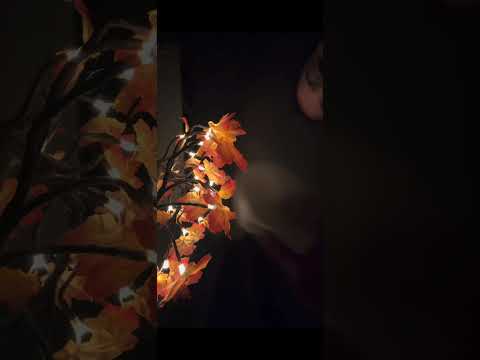 ASMR #asmr #shorts
