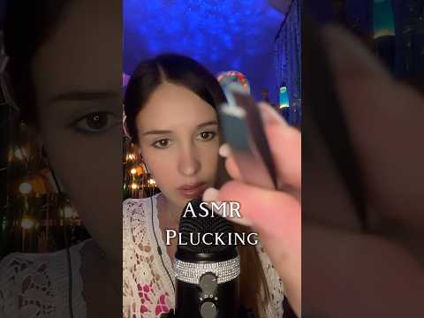 Il était temps d’épiler tout ça 😤✨ #asmr #asmrplucking #asmrvisual #takingcare