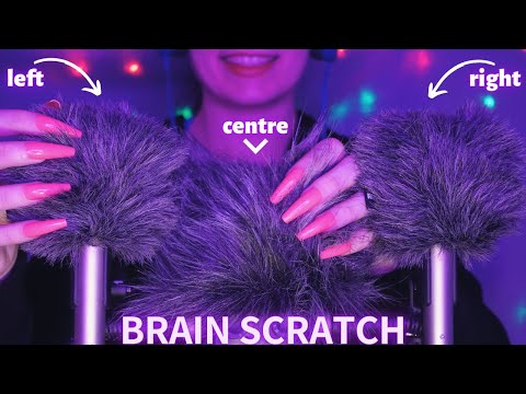 Asmr Mic Scratching - Brain Scratching | Hypnotic Asmr No Talking for Sleep with Long Nails 1H