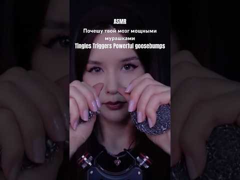 ASMR ПОЧЕШУ МОЗГ Tingles Triggers Powerful goosebumps #asmrmassage #asmrscratching #asmrtapping