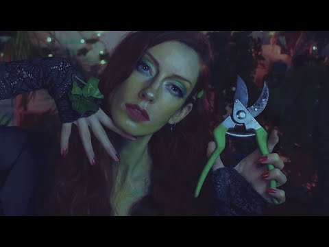 ASMR 🍃 Poison Ivy Gets Her Revenge... On YOU 🌹 (Soft Spoken, Personal Attention)