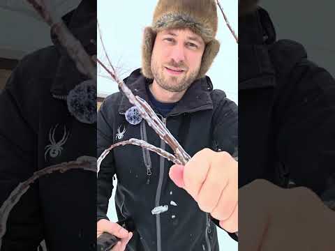 ASMR With Freezing Rain Outside