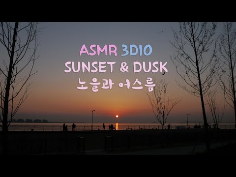 야외ASMR. 노을과 어스름+걷는소리Sunset & Dusk + Walking around Mic (3D Binaural Sound)