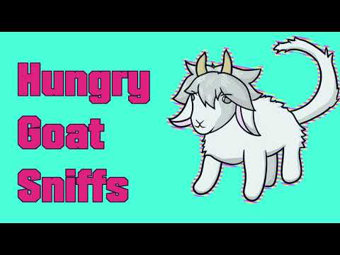 Hungry Goat Sniffs #ASMR #furry #goat