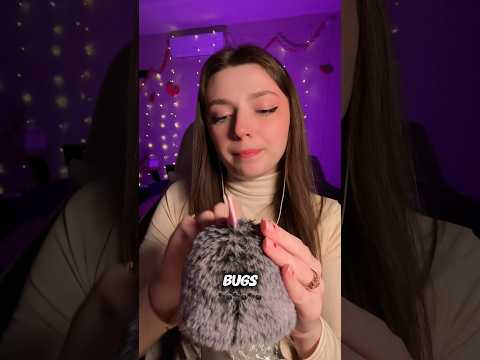 Bugs 🐜 #asmr #asmrsounds #asmrrelax #asmrsleep #relax #tingles #asmrvideo #relaxingvideos