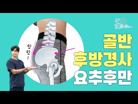 힙운동을 해도 엉덩이가 밋밋하다면? 👉🏻 골반후방경사 / 요추후만👈🏻 | 공간척추교정 | 도수치료