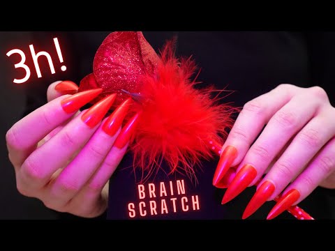 Asmr Deep Mic Scratching , Brushing & Massage | Asmr No Talking for Sleep with Long Nails - 4K